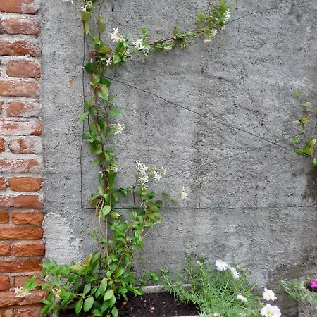 Tatil Evi The Gulf Sailor's House - Lago Maggiore *